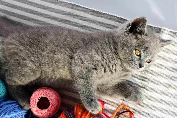 Cute gray kitten with colorful balls of thread on striped carpet, closeup — Stock Photo, Image