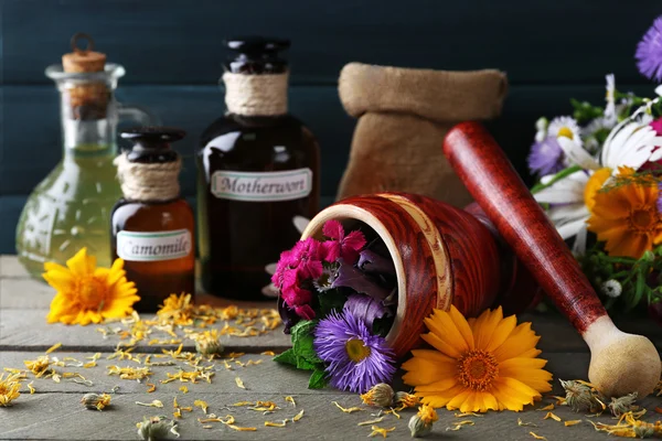 Herbs, berries and flowers — Stock Photo, Image