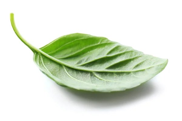 Listy zelené čerstvé bazalky, izolovaných v bílém — Stock fotografie