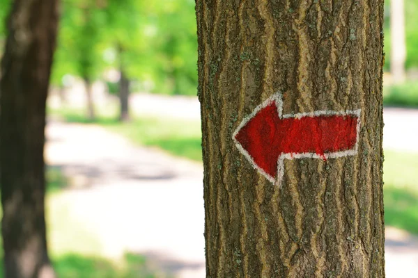 Bright arrow on tree outdoors — Stock Photo, Image