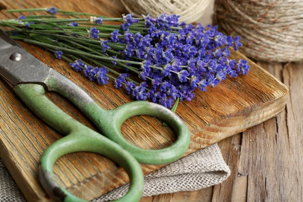 Lavanda fresca con cuerda — Foto de Stock