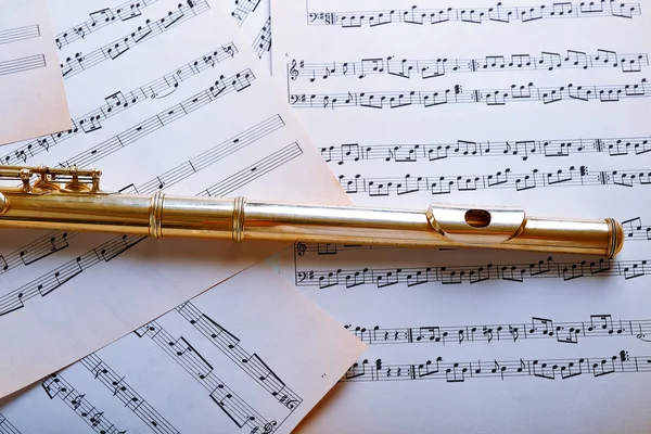 Flute on music notes — Stock Photo, Image