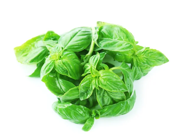 Green fresh basil isolated on white — Stock Photo, Image