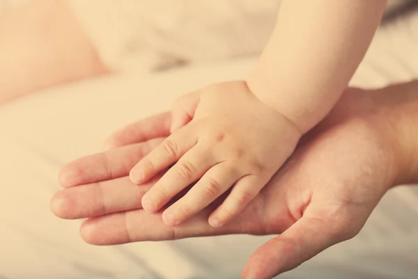 Руки взрослого и ребенка — стоковое фото