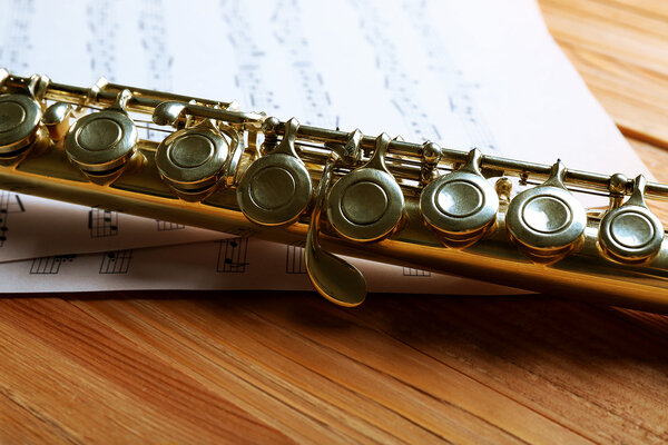 Серебряная флейта с нотами
