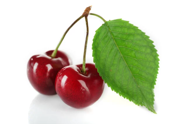 Cerises fraîches avec feuille isolée sur blanc — Photo