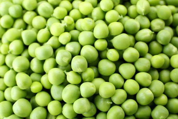 Tas de pois verts frais de près — Photo