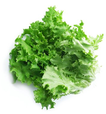 Beyaz izole taze marul yaprakları