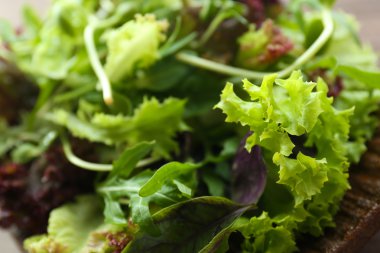 Taze karışık yeşil salata plaka üzerinde kapat