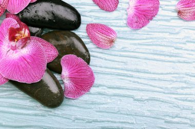 Mor orkide ve zen taş yakın çekim