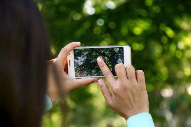 Doğa akıllı telefon ile resim çekmek