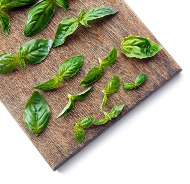 Beyaz izole kesme tahtası ile yeşil taze fesleğen