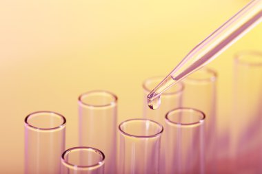 Renk arkaplanı üzerinde test tüpleri