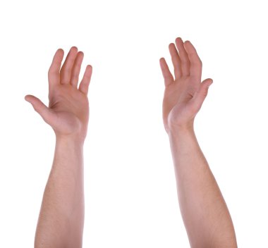 Beyaz izole erkek palm el