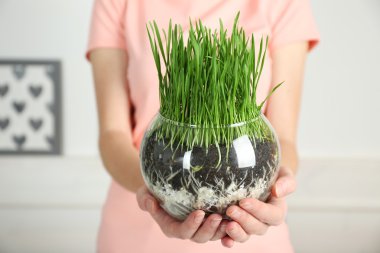 Kadın holding pot çim ile