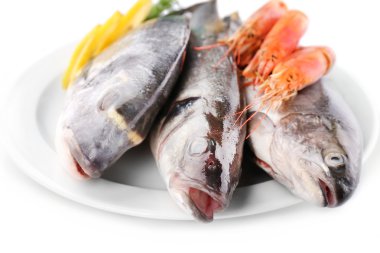 Deniz Ürünleri toplama üzerinde beyaz izole