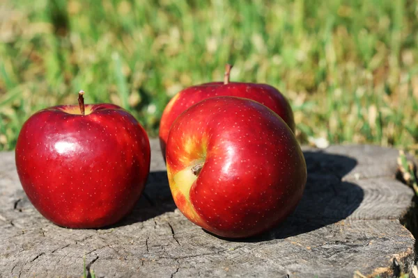 Mogna röda äpplen på stubben utomhus — Stockfoto