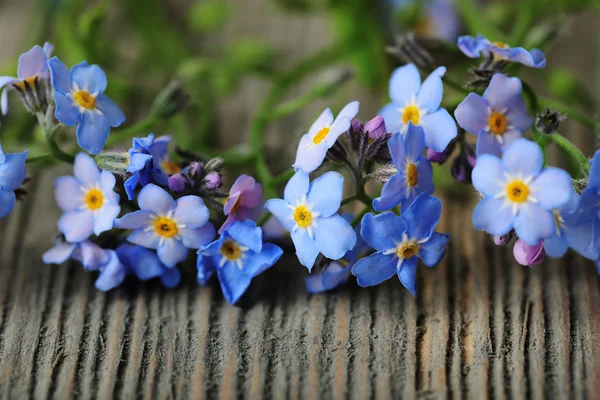 Vergissmeinnicht Blumen auf Holzgrund — Stockfoto