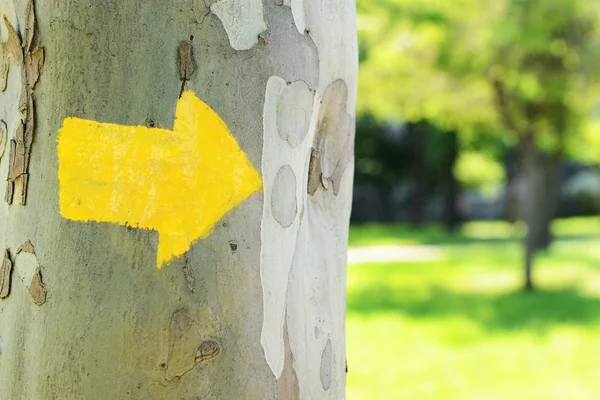 Bright arrow on tree — Stock Photo, Image