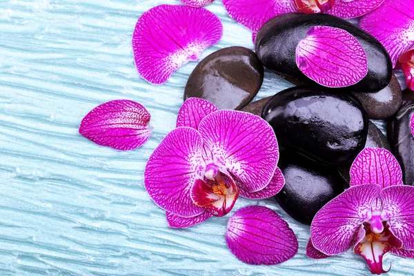 Violet orchid and zen stones — Stock Photo, Image