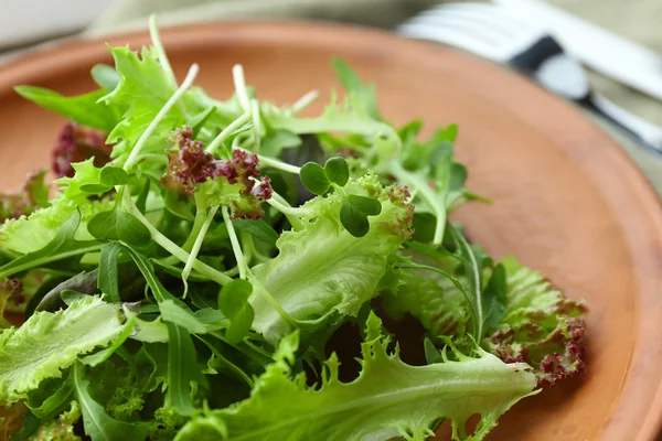 Fresh mixed green salad on plate close up — Stock Photo, Image