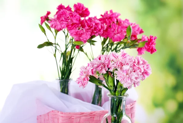 Mooi boeket van roze anjer in vazen op lichte achtergrond — Stockfoto