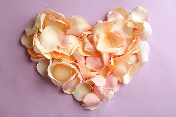 Schönes Herz aus Rosenblättern auf violettem Hintergrund — Stockfoto