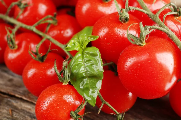 Tomates cherry con albahaca sobre mesa de madera de cerca — Foto de Stock