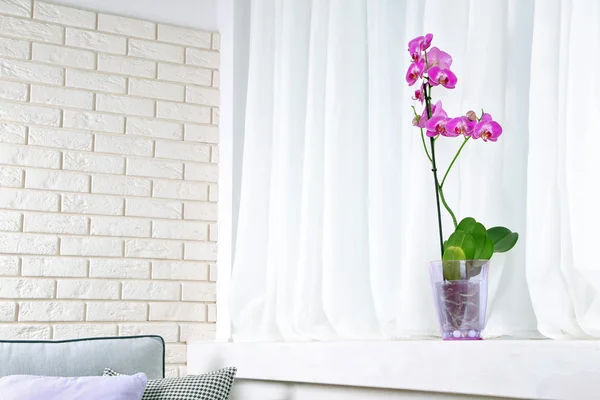 Hermosa orquídea lila en maceta en la mesa en la habitación — Foto de Stock