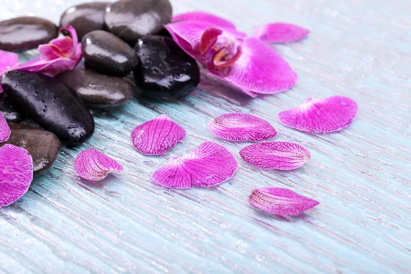 紫の蘭の花や禅石のクローズ アップ — ストック写真