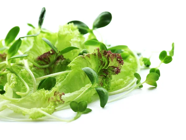 Verse gemengde groene salade geïsoleerd op wit — Stockfoto