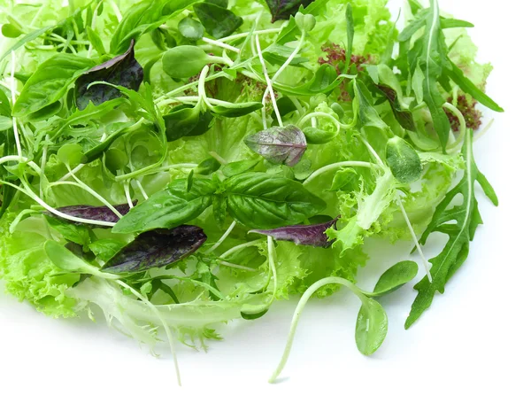 Fresh mixed green salad isolated on white — Stock Photo, Image