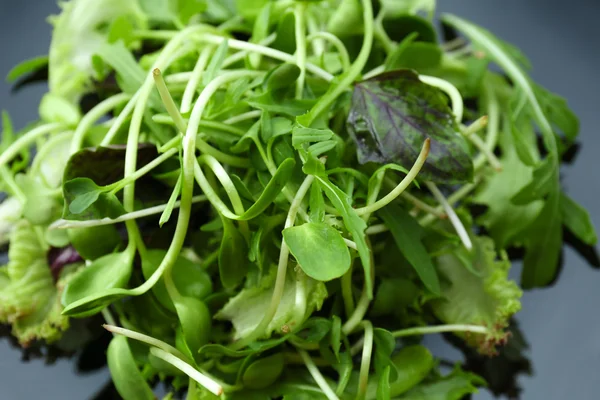 Ensalada verde mixta fresca en el plato de cerca — Foto de Stock