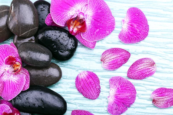 Violet orchid en zen stenen close-up — Stockfoto
