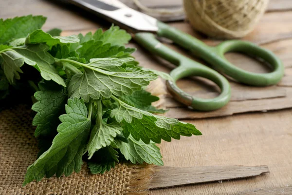 Leaves of lemon balm with rope and scissors on wooden table, closeup — Stock Photo, Image