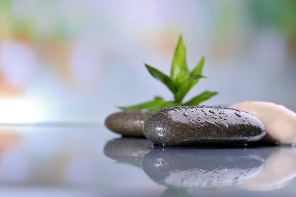 Natte spa stenen met groene bladeren op onscherpe achtergrond — Stockfoto