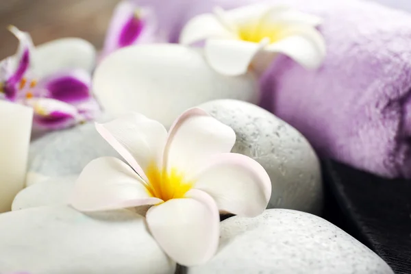 Wellness-Stillleben mit weißer Blume — Stockfoto