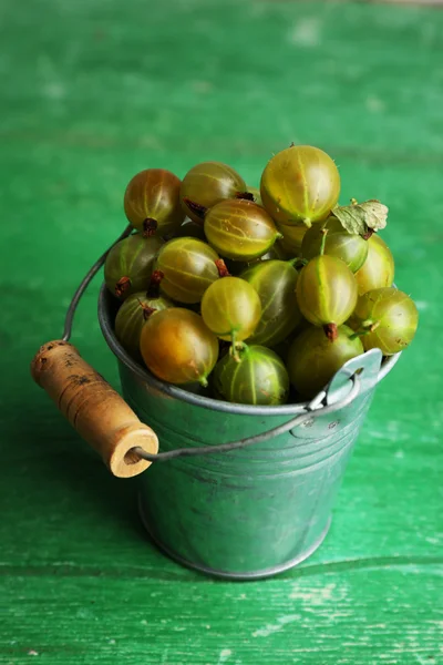 Green gooseberry in pail — Stock Photo, Image