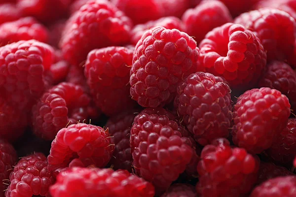 Haufen süßer roter Himbeeren — Stockfoto