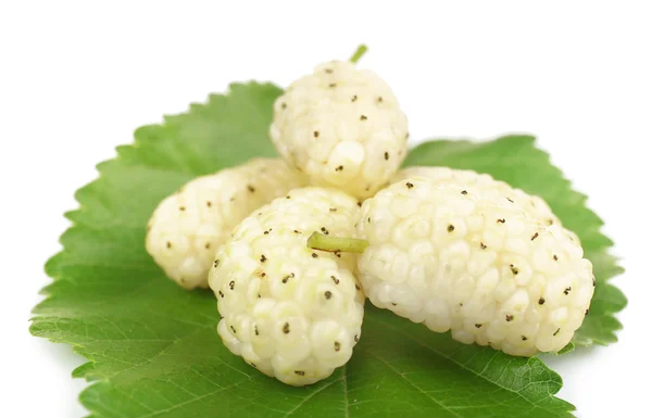 Fresh mulberry isolated on white — Stock Photo, Image