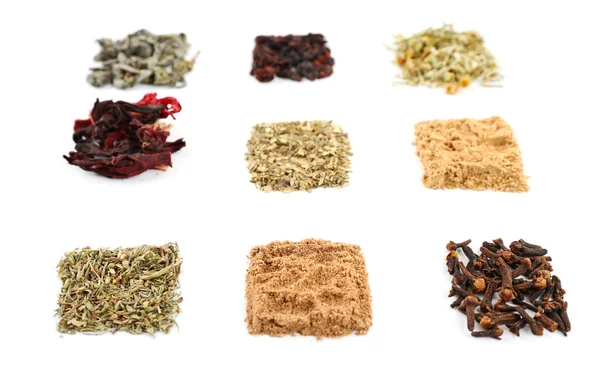 Various kinds of herbal tea and herbs — Stock Photo, Image