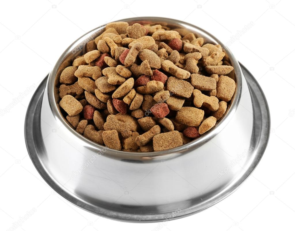 Dog food in bowl