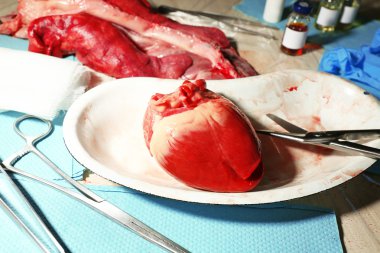 Kalp organ içinde tıbbi metal tepsi