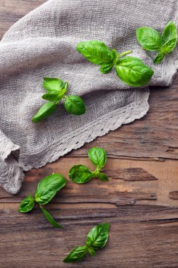 Beyaz izole kesme tahtası ile yeşil taze fesleğen