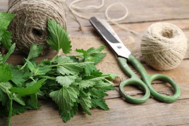 Oğul otu yaprakları