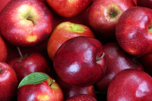 Kırmızı elma arka plan — Stok fotoğraf