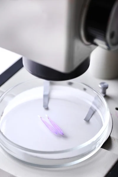 Pétalo en primer plano del microscopio — Foto de Stock