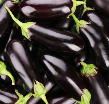 Taze patlıcan yığını yakında.