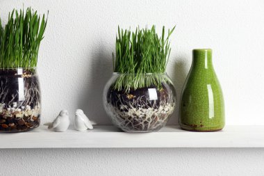 Şeffaf tencere taze ot ile