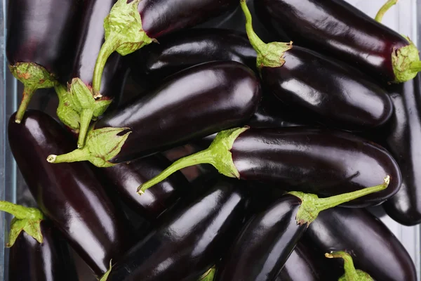 Heap of fresh eggplants close up — Stock Photo, Image